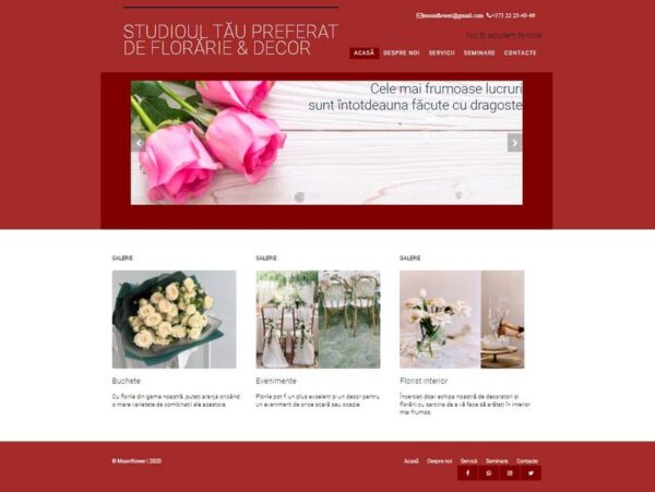 Studioul
